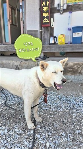 ☀️오늘의 탐방로ㅣ치악산 상원사 #국립공원 #국립공원공단 #치악산 #상원사 #오늘의탐방로 #이벤트
