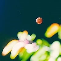 ランデヴー 歌詞 シャイトープ ふりがな付 - うたてん