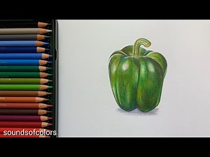 How to draw CAPSICUM | how to draw capsicum easy | realistic drawing tutorial colored pencil