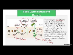 Reproduction and Development - General Biology 2