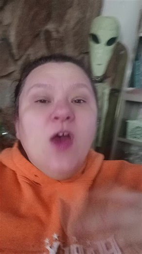 The Bird (@elvenbird)’s videos with original sound - The Bird