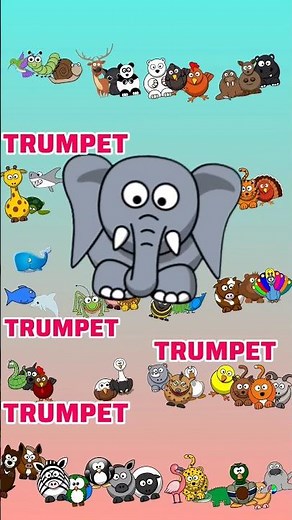 #animalsoundssong #nurseryrhymes