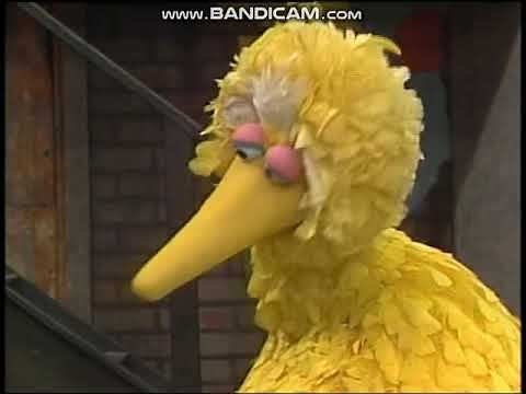 Classic Sesame Street - David and Big Bird Barkley to eats lunch. (1986)