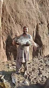 1.2M views · 9.5K reactions | Giant Carps Hunting #shikar #carplife #darya #carpfishing #fishingaddict #fishingtips #fishingvlog #fishing #fishinglifestyle #fishinglife #fishingvideos #fishingtricks #fishhunting #fishingtrip #carp #fishingtipsandtechniques #fishingtime #fıshıngtıme #fishingtime #fishingtime #fishingtime | Shaheen Fishing Club Sargodha | Facebook