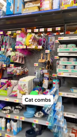 Choosing the Best Comb for Your Cats: A Guide for Cat Dads
