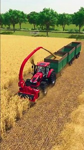 Fast & Easy Straw Loading with 3 Trailers! 🚜🌾 | FS25