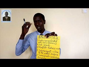 FORM 3; Lesson 50 -Adaptations of Halophytes to their habitat TOPIC ECOLOGY .mp4