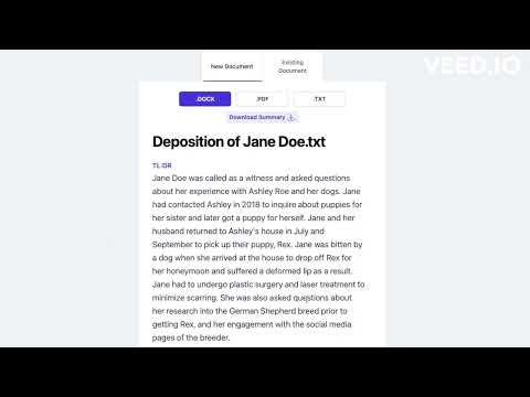 Dodonai AI Deposition Summarizer