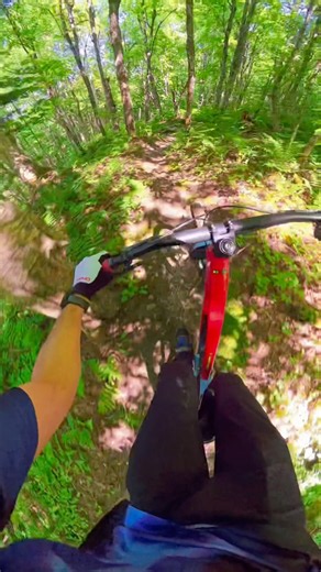 I'm tackling the "Mastery" at Circuits Frontières ⛰️ #mtb #velo #bike #quebec #hereford