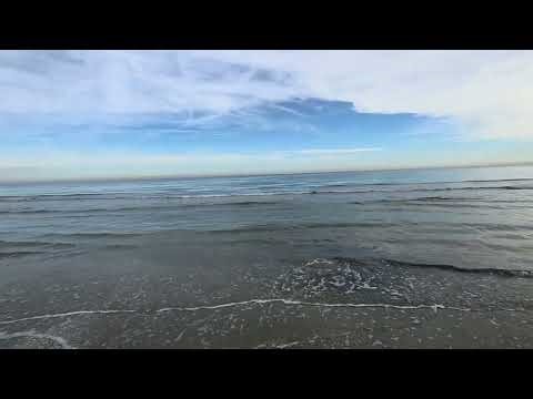 Alberoni la Plage Sauvage de venise.