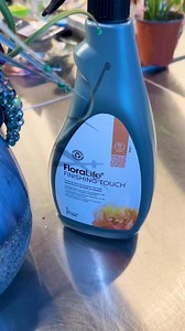 floralfundamentals Behind every stunning floral design is a foundation of quality. Our @floralfundamentals ambassadors know the importance of sourcing the best blooms from their growers. But the magic doesn't stop there!We're thrilled to partner with@oasis.floralproducts.benelux who provide us with essential tools like Flora Life finishing touch to keep our flowers in perfect condition. Check out this prep by ambassador @botanicart.kover.krisztian ! Stay tuned for the final look on our model lat