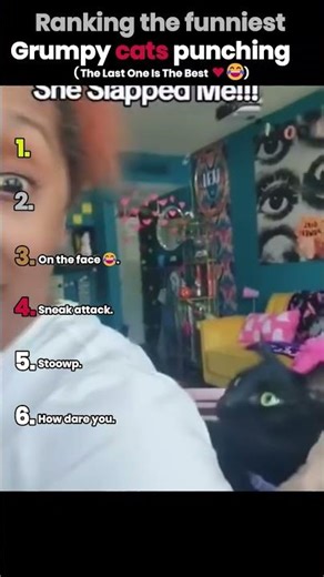 Ranking The Funniest Grumpy Cat Moments 😂 (The last one is the best 😂) #shorts #pets #funny #cute