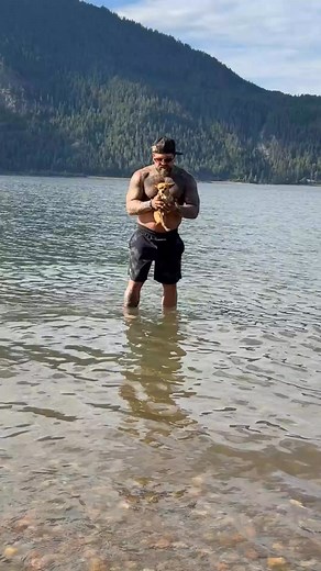 Milton swimming 🏊 #dog #doglover #pets #chihuahua #chihuahualove | miltonnkez