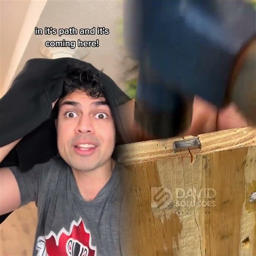 Call the SCP Foundation! ⚠️ #scp #scpfoundation #scary