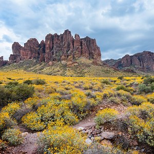 2.7K reactions · 290 shares | Discover the magic of Arizona's state parks during the spring!  From iconic ghost towns to natural wonders, explore these gems nestled in the heart of the desert.  | Visit USA Parks | Facebook