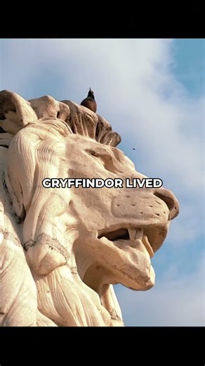 Gryffindor's True Courage: Choosing Right When It's Hardest #shorts