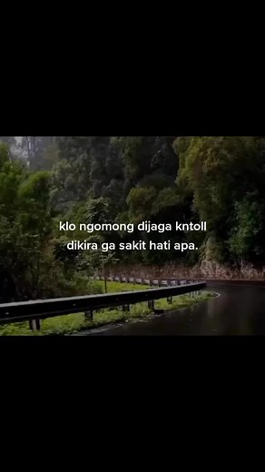 Winding Road Through Lush Greenery After Rain