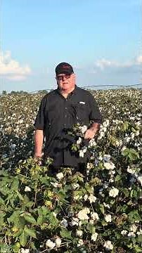 I got an IRS Section 180 Soil Tax Deduction