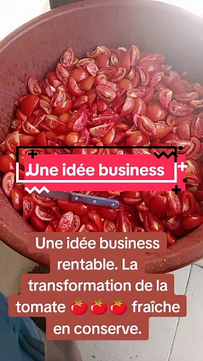 Comment conserver les tomates fraîches en conserve de manière rentable
