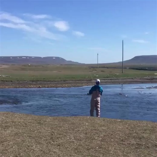 My first brown trout caught in this past year with #iceland #searunbrown #browntrout | P-Fishing