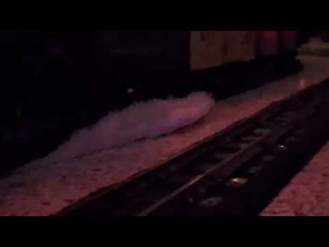 American Flyer Trains rolling! 1950s! 