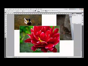 Tutorial Indesign - Textfelder schnell bearbeiten