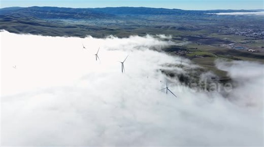 Tule fog blankets California’s Central Valley, creating mesmerizing scenes