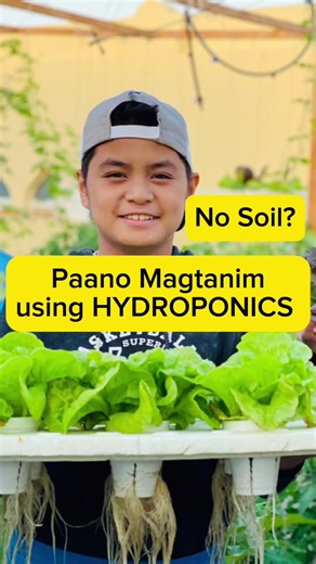 No soil! No problem! Hydroponics Method of Farming #rooftop #garden #diy #vegetable #garden #pinoy #inspiration #motivation #reels #fbreels #trending #viral #farming | Vegetable Gardening and More