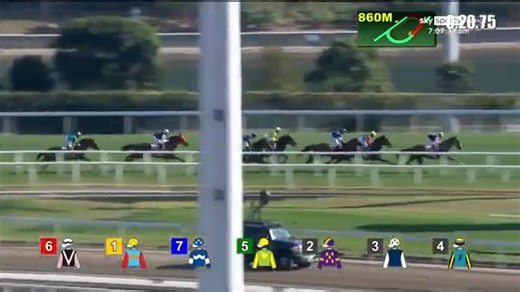 2026 Centenary Sprint Cup - Ka Ying Rising The Centenary Sprint Cup, held at Sha Tin Racecourse on January 25, 2026, stands as one of Hong Kong's premier Group 1 sprint races, contested over a distance of 1,200 meters. This prestigious race celebrated a milestone by commemorating a century of sprint racing excellence in Hong Kong, drawing top-class sprinters from across the region. The race attracts world-class competitors annually and serves as a true test of speed, acceleration, and tactical p