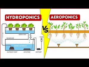 Hydroponic vs Aeroponic: Which is Best for You? Find Out!