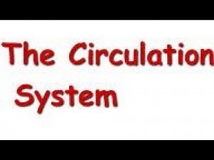 class 10 blood circulatory system (biology)