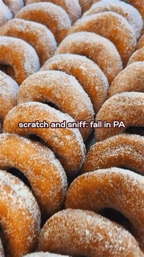 VISIT PA | Pennsylvania Tourism Office | *Inhale* Smell that? It’s fall. Here's your map to chase every autumn aroma across the state: 🍎 Apple Cider Donuts That'll Make You Weak... | Instagram