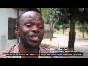 Tackling The Global Problem of Dynamite Fishing