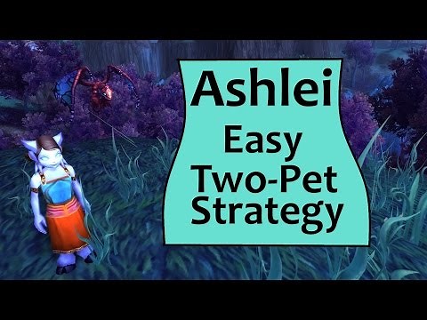 Ashlei: 2 Pet Guide for An Awfully Big Adventure or Powerleveling