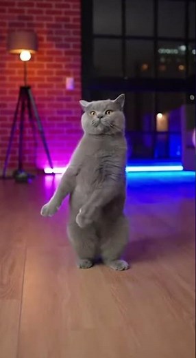 Unbelievable Cat Dancer: Techno Moves on Two Legs 🐱💃