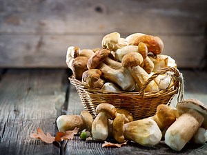 Dried vs. Fresh Mushrooms: Which is Better for Your Dish in?