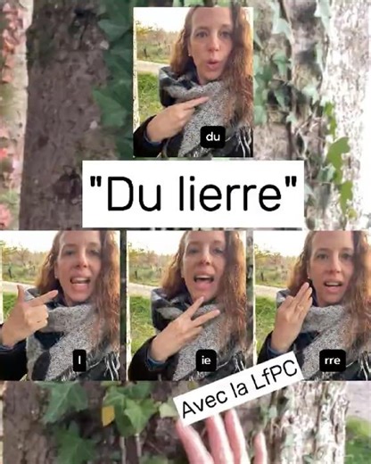 "Du lierre" #motcodélfpc