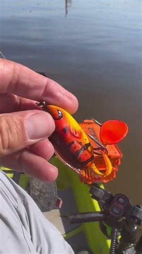 Bass caught on hollow body swimmer