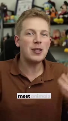 9.9K views · 80 reactions | The History of The Hyenas | Isaac Carlson | Facebook