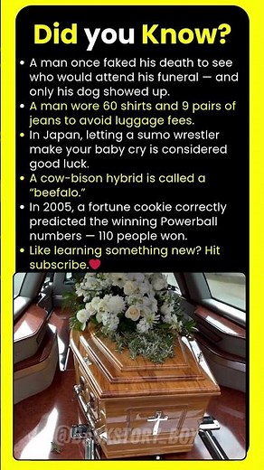 Did you know? A cow-bison hybrid is called a “beefalo.”