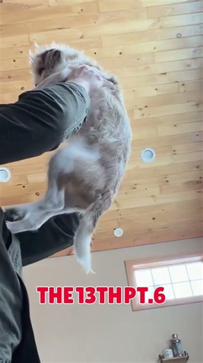 THE 13TH pt.6 #scary #fridaythe13th #horrorfilm #fanfilm #jasonvoorhees #shortfilm #horror #creepy