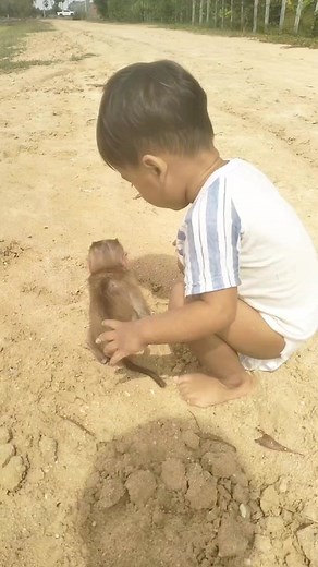 8.5K views · 120 reactions | #Poormonkey #monkeystyle | Animal Home | Facebook