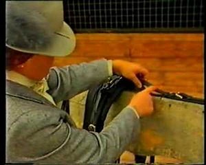 How to Drive a horse drawn carriage