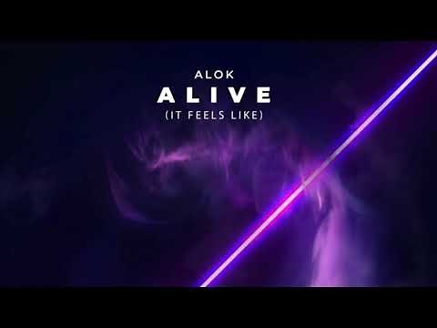 Alive (It Feels Like) | Alok | 1 Hour