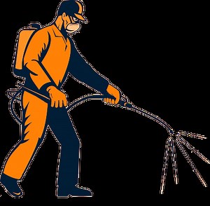 Different types of Pests and their Extermination addon