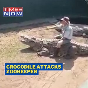 A wildlife park employee was attacked by a crocodile during a live show in South Africa, viral video leaves netizens in shock! | TIMES NOW