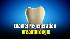 New protein gel regenerates tooth enamel — revolutionizing dental health