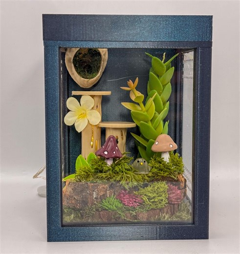 Jumping Spider Enclosure, Front Opening Habitat (6.25x4.5x4.5) - Etsy