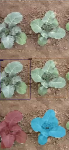 Detection / Semantic Segmentation of Culture - Agriculture