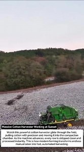 Massive Cotton Harvester Working at Sunset 🌾🚜 | Modern Farming